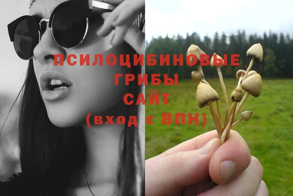 крисы Баксан