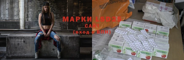 крисы Баксан