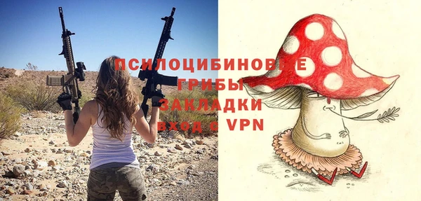 apvp Балахна